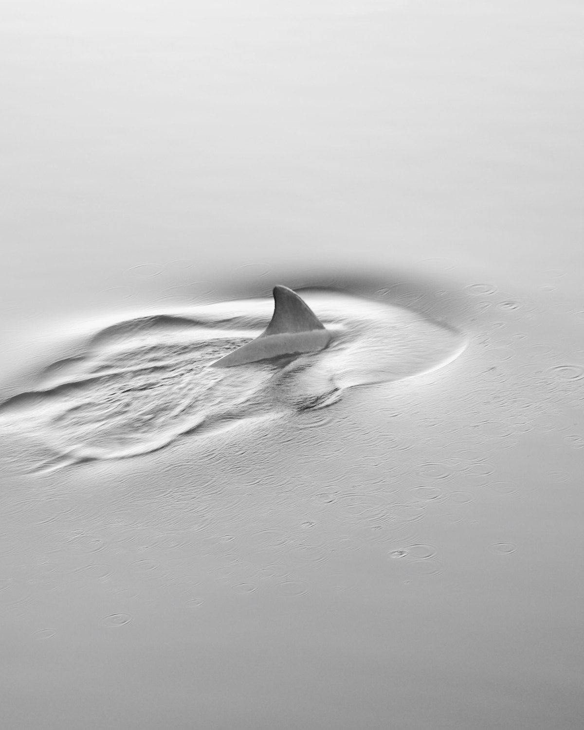 #8 Vis ma vie dans un&nbsp;bocal